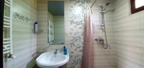 a bathroom with a sink and a shower at Oda Kazbegi in Stepantsminda