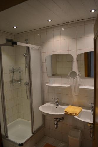 A bathroom at Ferienwohnung Ehrenreich/Pichler