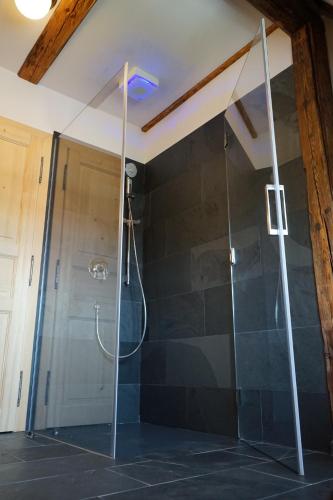 a shower with a glass enclosure in a bathroom at Baroque chaplain house Kaplanka 1796 A. D. - historical luxury apts in Bohemian Paradise in Železný Brod