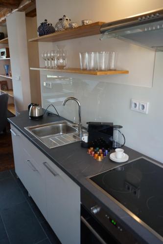 a kitchen counter top with a sink and a sink at Baroque chaplain house Kaplanka 1796 A. D. - historical luxury apts in Bohemian Paradise in Železný Brod