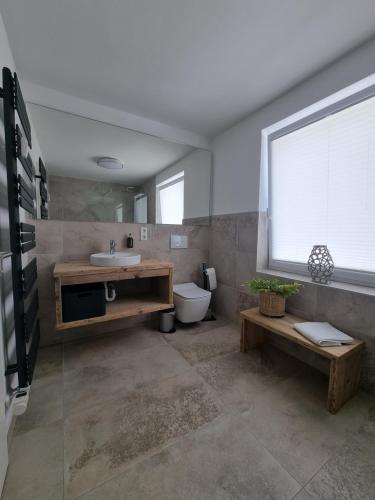 a bathroom with a sink and a toilet and a window at Appartement Rakké Kiefernweg Winterberg in Winterberg
