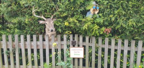a statue of a deer behind a fence with a sign at Hotel Bigger Hof - Wirtshaus Platzhirsch am Jahnplatz in Olsberg