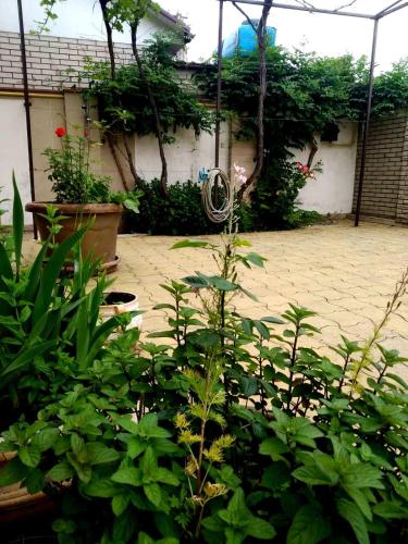 Сад в Villa in Karolino-Bugaz