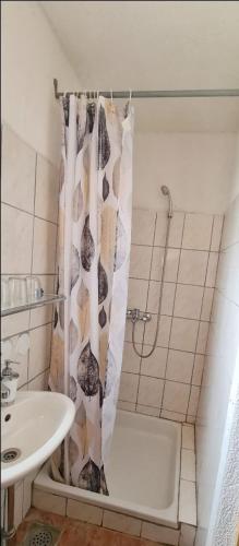 a bathroom with a shower curtain and a sink at Apartments Vila Zagorje in Stinica