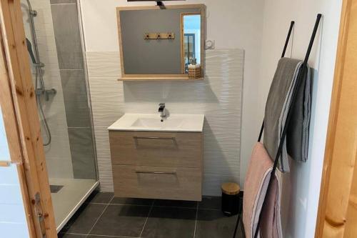 y baño con lavabo, ducha y espejo. en Superbe studio privée au calme avec piscine et spa en Sailly-lès-Lannoy