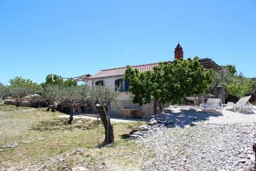 Robinson House Dubrova – Photos 5