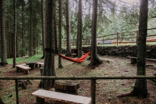 a hammock in a forest with trees and benches at Cabana Bucin in Bucsin