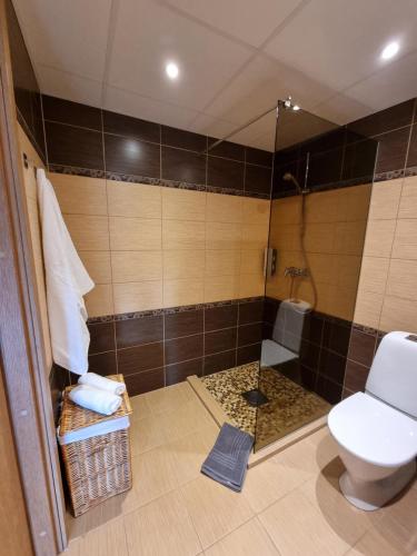 a bathroom with a toilet and a shower at R63 Apartment with Terrace in Tartu