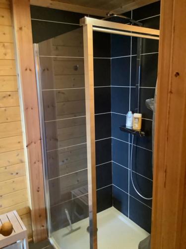 a shower with a glass door in a bathroom at Chalet Les Sorbiers in Égat