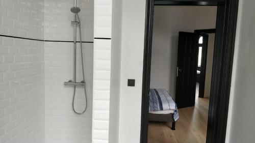 Kupaonica u objektu Brussels flat