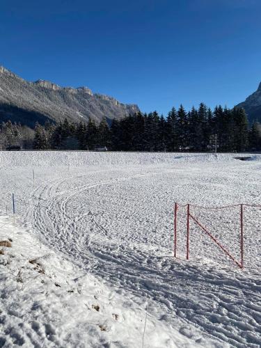 a field covered in snow with a net at Haus Alpenrose in Waidring