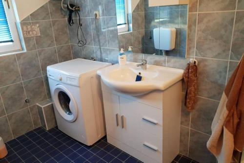 La salle de bains est pourvue d'un lave-linge et d'un lavabo. dans l'établissement EMI 1 apartment, à Vir