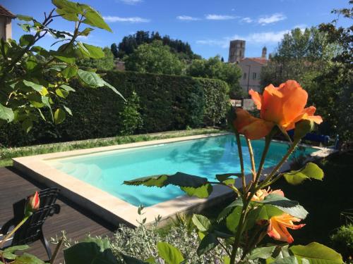 una piscina en un jardín con una flor en CHAMBRE CENTRE VILLE Coté soleil en Forcalquier