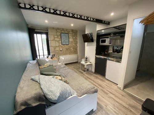 un salon avec un canapé et une cuisine dans l'établissement Studio Indre climatisé, La halte de Cuzé, aux abords de la Loire à vélo, à Huismes