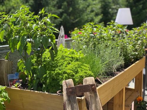 a wooden raised garden with plants and herbs at Hotel Residenz Hochalm - Joker Card Partner in Saalbach Hinterglemm