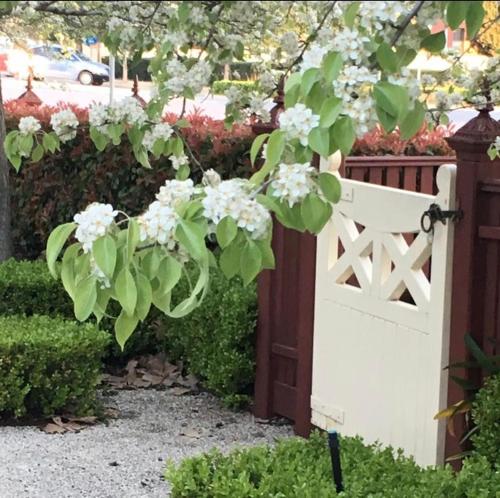 a white gate with a bunch of flowers at Howlong Old Post Office Luxury Suite in Howlong