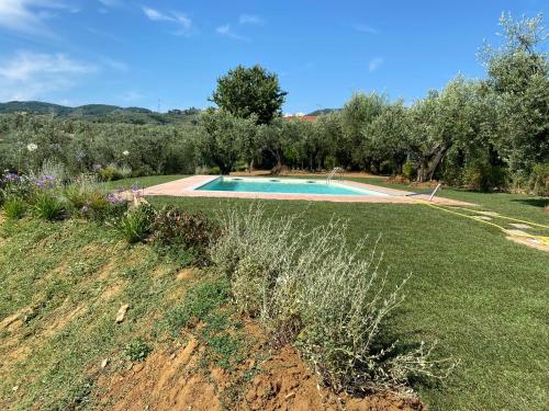 a swimming pool in the middle of a garden at PODERE IL QUADRO in Lamporecchio