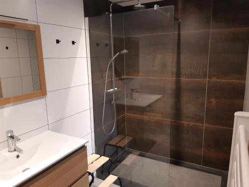 uma casa de banho com um chuveiro e um lavatório. em Bee Tree Appartement em Vielsalm