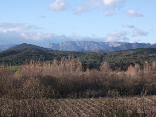 a field with trees and mountains in the background at Sur la Bonnefooi in Prades-sur-Vernazobre