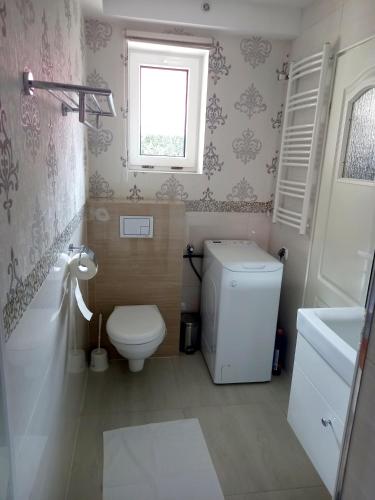 a bathroom with a toilet and a sink and a window at Dom całoroczny Wczasy jak Marzenie in Ruciane-Nida