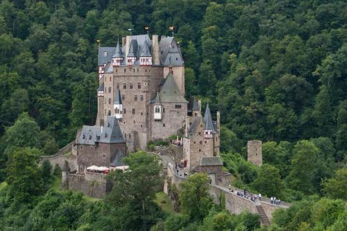 an old castle on a hill in the forest at Pension Restaurant Luna in Treis-Karden