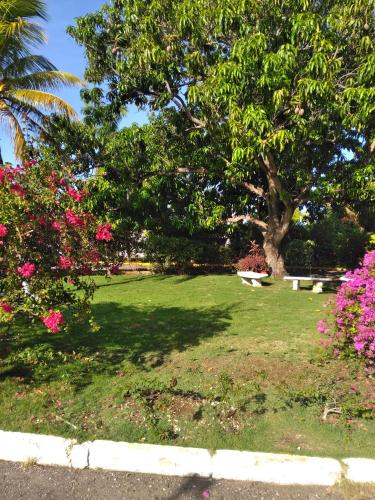 a park with a bench and trees and flowers at Irresistible View-Mobay Club 1408 in Montego Bay