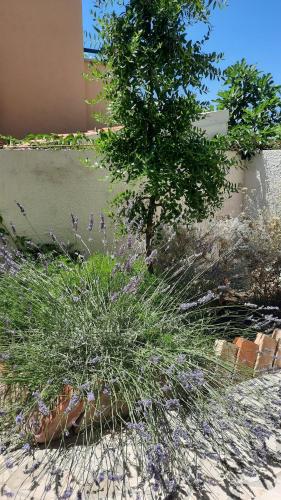 Photo de la galerie de l'établissement Apartment MIVA, à Brela