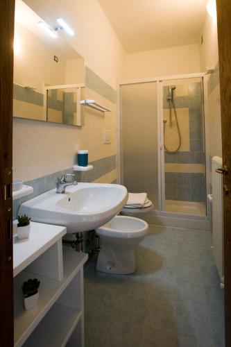 a bathroom with a sink and a toilet and a shower at Il Sasso di San Galgano in Chiusdino