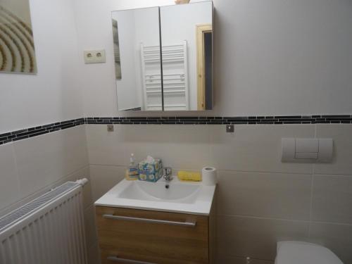 a bathroom with a sink and a mirror and a toilet at Pension und Gästehaus Paffrath in Großbrembach