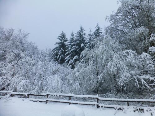 a snow covered yard with trees and a fence at Hay-on-Hye retreat in Hay-on-Wye