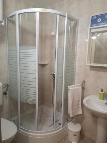 a shower in a bathroom with a toilet and a sink at Kuća Cvjetković in Gruda