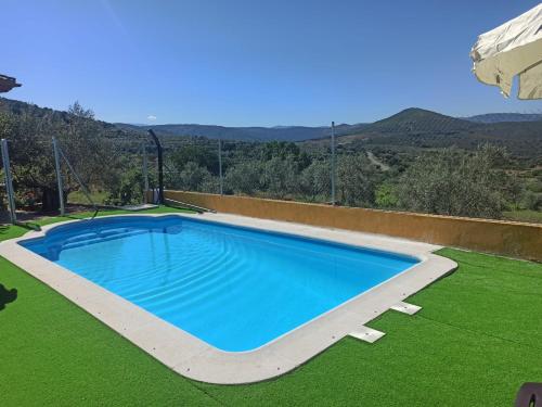 una piscina en un patio con césped verde en Casa Rural Los Olivos en Sotoserrano