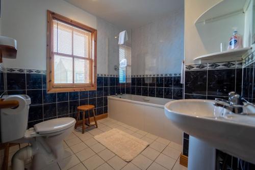 a bathroom with a toilet and a sink and a tub at Burnham View in Dingle