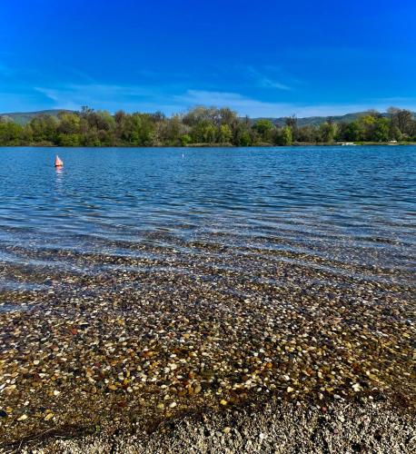 a lake with a small boat in the water at Apartman Plaža Lux in Veliko Gradište