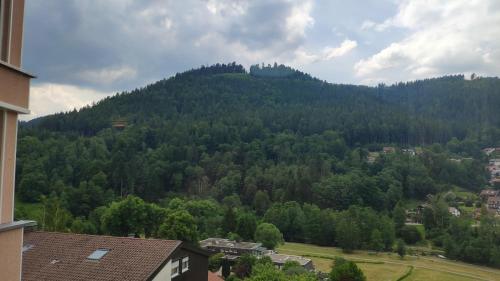 una vista de una montaña con árboles en ella en WiLDBADFERiEN punkt DE, en Bad Wildbad