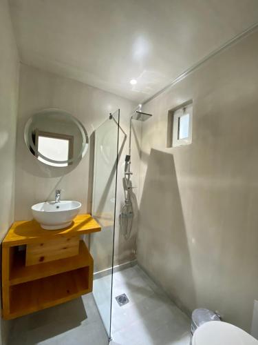 a bathroom with a sink and a shower at Villa Ioanna oliveproject in Plakias