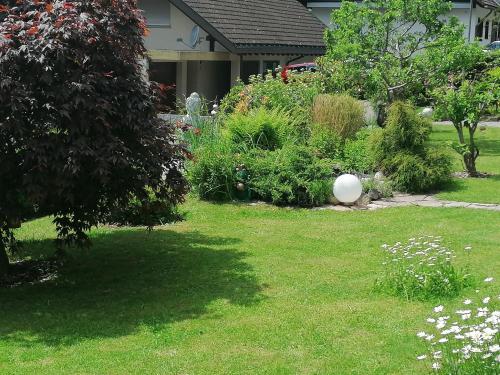 a yard with a garden of flowers and plants at Haus Akelei in Todtmoos