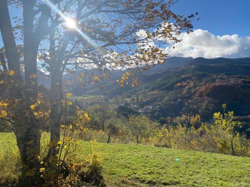 a tree in a field with a view of a mountain at Gîte de charme en plein cœur de l’Ardèche verte in La Rochette