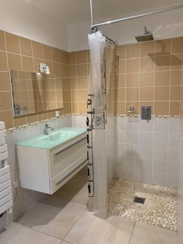 une salle de bain avec baignoire et douche dans l'établissement Maison vue mer Propriano Viggianello, à Viggianello