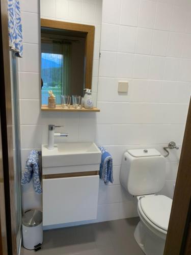 ein Badezimmer mit einem WC, einem Waschbecken und einem Spiegel in der Unterkunft Privatzimmer Haus Waltraud am Turnersee in Obersammelsdorf