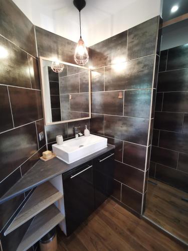 une salle de bain avec un lavabo et un miroir dans l'établissement La Terrasse Ensoleillée de Sausset - Côte Bleue, à Sausset-les-Pins