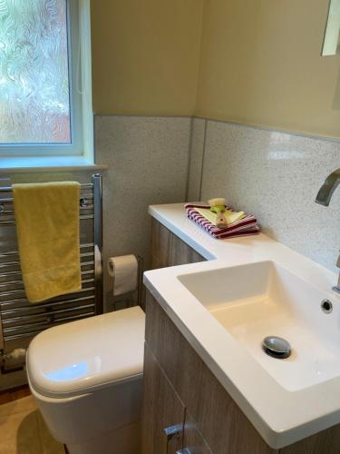 łazienka z białą umywalką i toaletą w obiekcie The Buttery w mieście Brundall