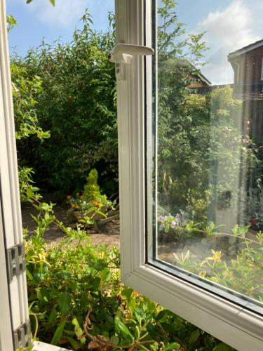 a window with a view of a garden at The Buttery in Brundall