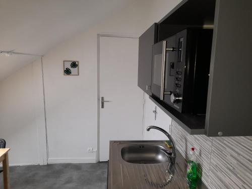 une cuisine avec un évier et un micro-ondes dans l'établissement LOGEMENT VERT proche de NEOMA et de la CATHEDRALE de REIMS, à Reims