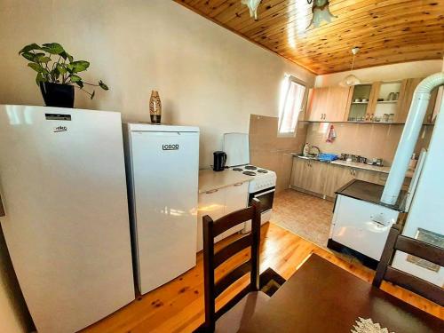 a kitchen with a refrigerator and a table in it at Durmitorski konaci apartments in Žabljak