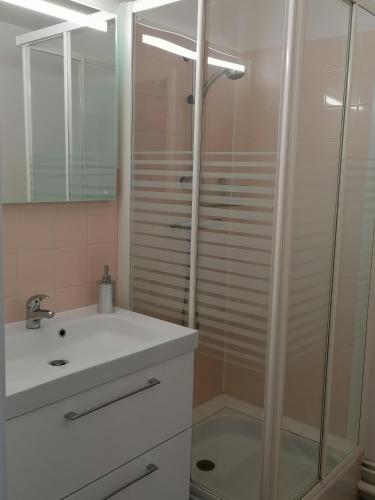 La salle de bains est pourvue d'une douche et d'un lavabo blanc. dans l'établissement #Bel appartement cosy Clos Mathilde !, à Cabourg