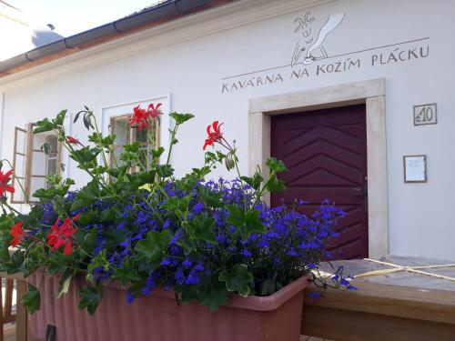 een grote pot bloemen voor een gebouw bij Café Kozí plácek in Kutná Hora