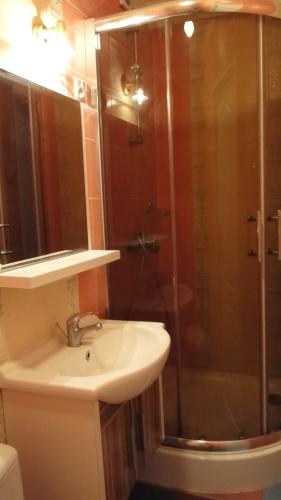a bathroom with a sink and a shower at Pokoje gościnne U Wandy in Ostrowo