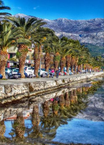 a row of palm trees next to a body of water at Rooms & Apartments Toni in Split