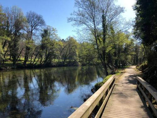 a wooden path next to a river with trees at Apartamento Alto da Valeta in Arcos de Valdevez